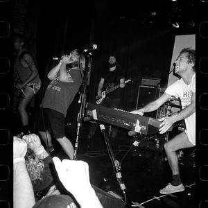 Horse the Band